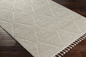 Mengen High/Low Pile Rug with Tassels