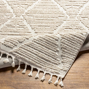 Mengen High/Low Pile Rug with Tassels
