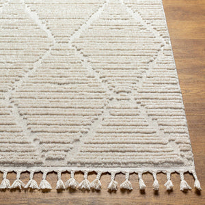 Mengen High/Low Pile Rug with Tassels