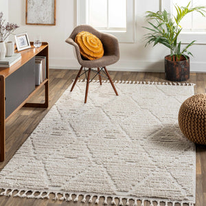 Mengen High/Low Pile Rug with Tassels