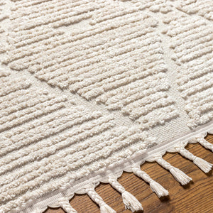 Mengen High/Low Pile Rug with Tassels