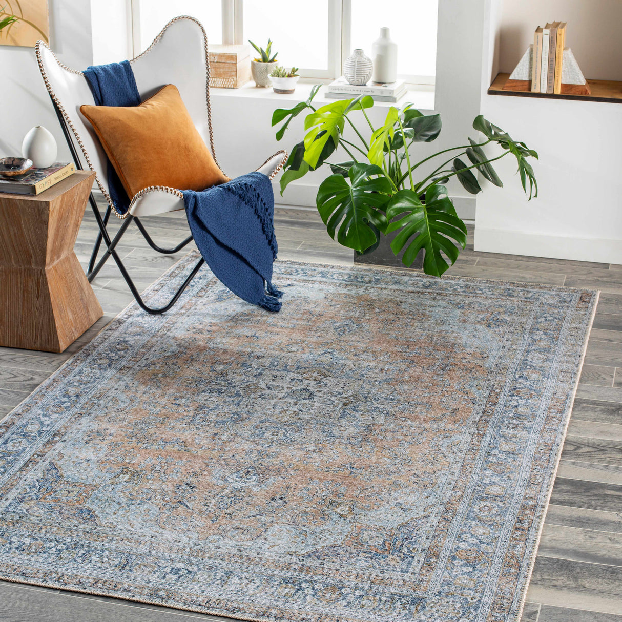 Mianay Washable Area Rug - Clearance