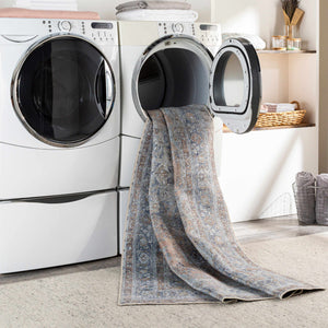 Mianay Washable Area Rug - Clearance
