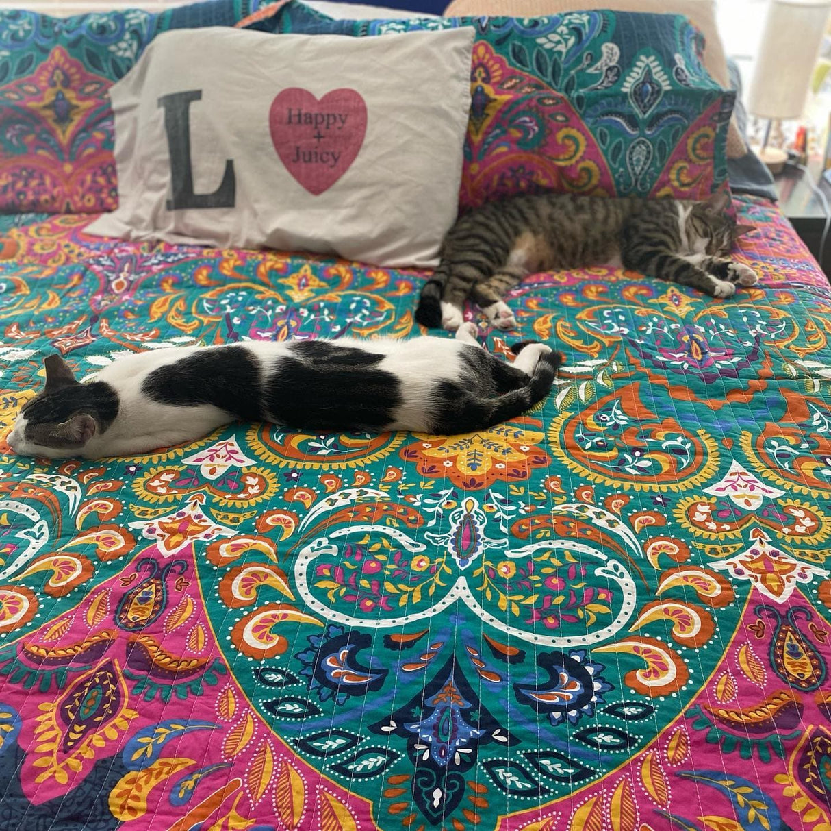 Boho Chic Quilt 3 Piece Set