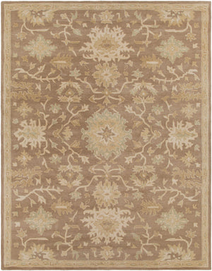 Hazen Hand Tufted Beige 1149 Area Rug