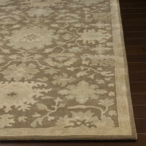 Hazen Hand Tufted Beige 1149 Area Rug