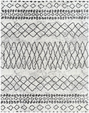 Moulden Area Rug - Promo