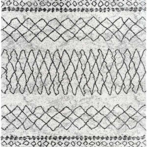 Moulden Area Rug - Promo