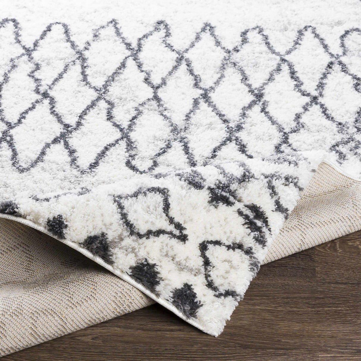 Moulden Area Rug - Promo