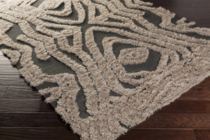 Money Area Carpet - Clearance