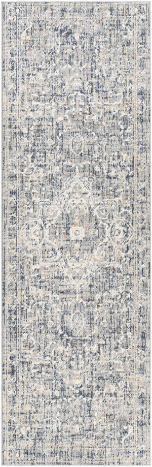 Buguey Blue & Gray Area Rug - Clearance