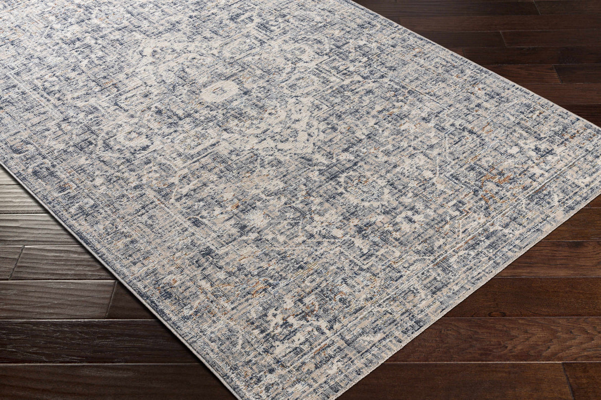 Buguey Blue & Gray Area Rug - Clearance
