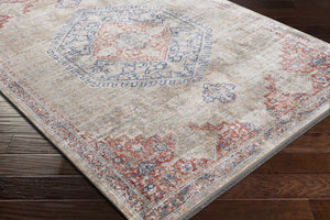 Naili Area Rug - Clearance