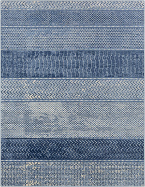 Nampa Area Rug - Clearance