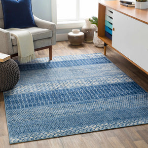 Nampa Area Rug - Clearance