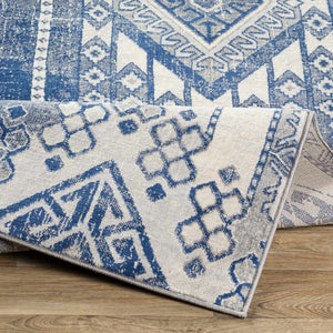 Nardin Area Rug - Clearance
