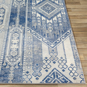 Nardin Area Rug - Clearance