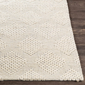 Ingram Area Rug - Clearance