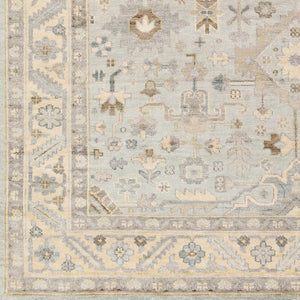 Niles Area Rug - Clearance