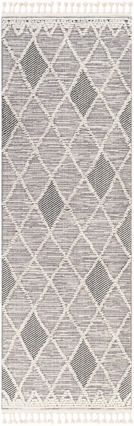 Norvelt High/Low Pile Rug with Tassels