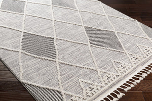 Norvelt High/Low Pile Rug with Tassels