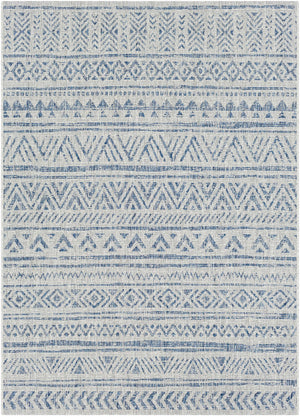Novato All Over Pattern Performance Rug