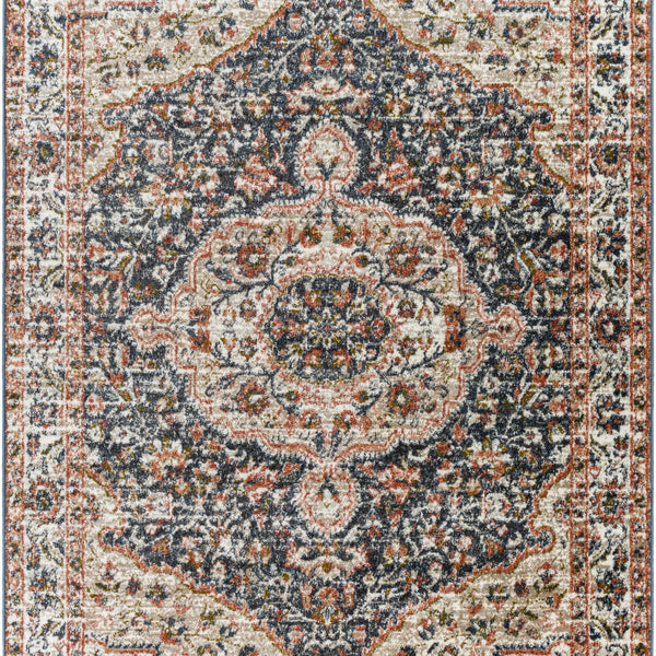 Okiot Traditional Area Rug - Clearance