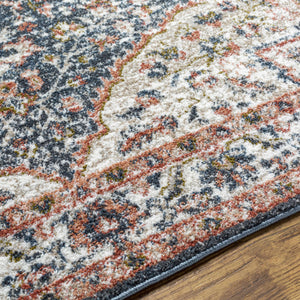 Okiot Traditional Area Rug - Clearance