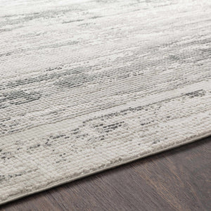 Oklaunion Faux Silk Rug
