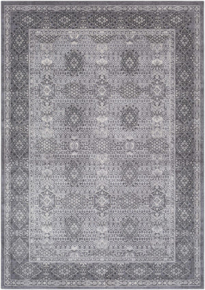 Ordway Area Rug - Clearance