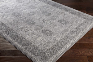 Ordway Area Rug - Clearance