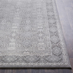 Ordway Area Rug - Clearance