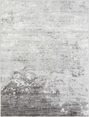 Ortonville Abstract Gray Rug
