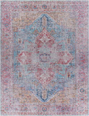 Otaki Washable Area Rug - Clearance