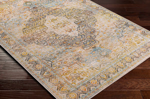 Palampas Area Carpet - Clearance