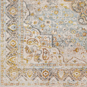 Palampas Area Carpet - Clearance