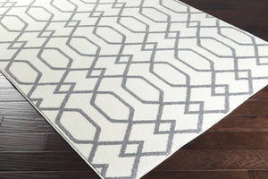 Parksley Area Rug - Clearance
