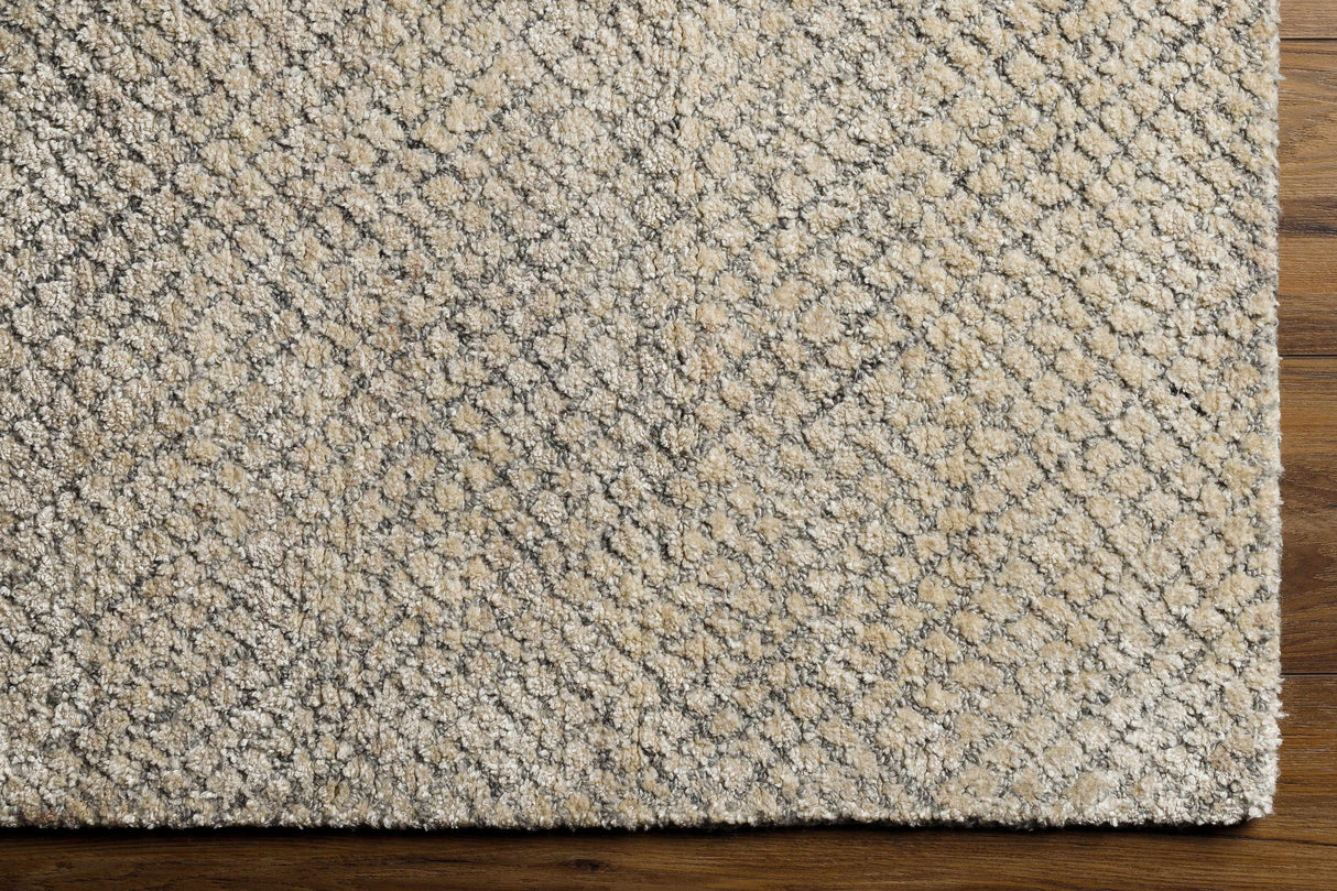 Phalaborwa Area Rug - Clearance
