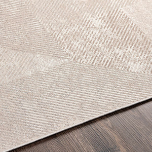 Pimmit Area Rug - Clearance
