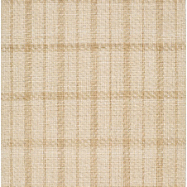 Priti Area Rug