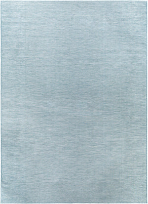 Ponemah Area Rug - Clearance