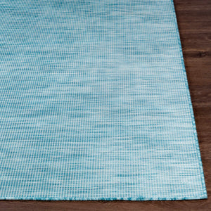 Ponemah Area Rug - Clearance
