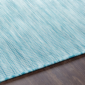 Ponemah Area Rug - Clearance