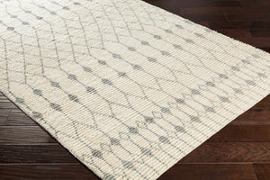 Pooleville Area Rug - Clearance