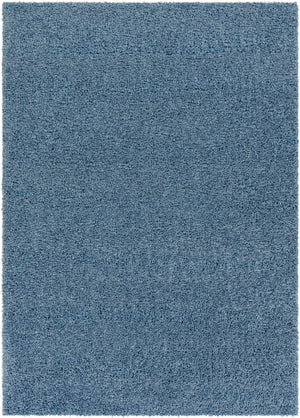 Potot Area Rug - Clearance