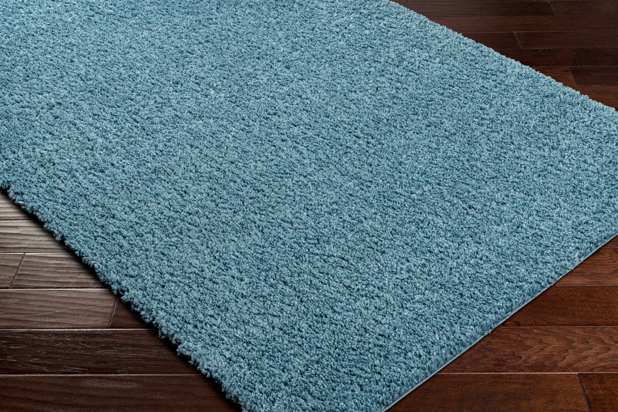 Potot Area Rug - Clearance