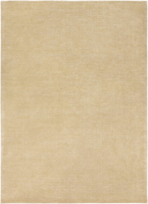 Poultney Area Rug - Clearance