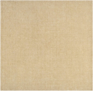 Poultney Area Rug - Clearance