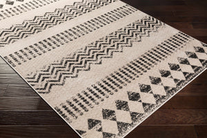 Preemption Area Rug - Clearance