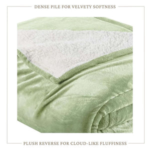 Velvet Plush Sherpa Bed Blanket by Great Bay Home